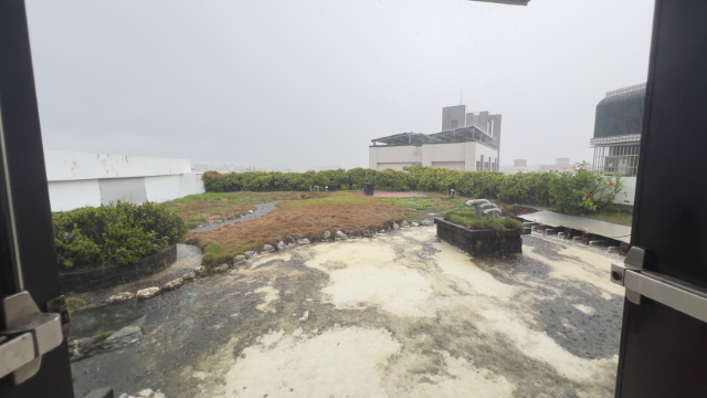 家專天地陽台套房