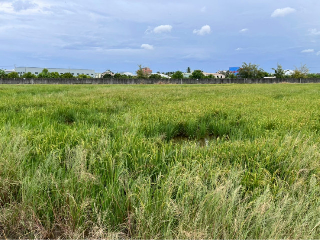 大灣交流道4.3分都內農地【城鄉發展區】