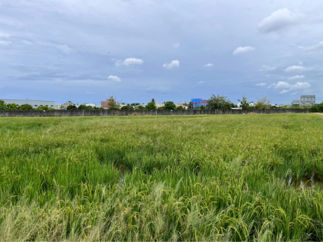 大灣交流道4.3分都內農地【城鄉發展區】