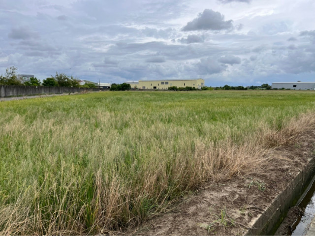 大灣交流道4.3分都內農地【城鄉發展區】