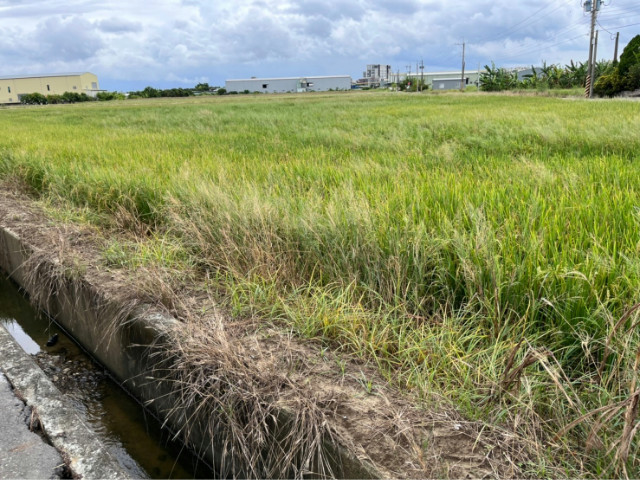 大灣交流道4.3分都內農地【城鄉發展區】