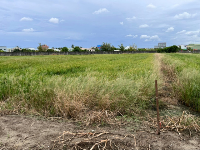 大灣交流道4.3分都內農地【城鄉發展區】