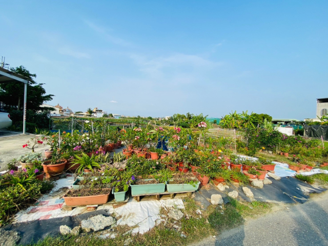 西勢國小農地【城鄉發展區】