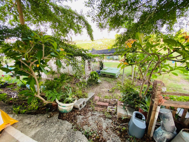 西勢國小農地【城鄉發展區】